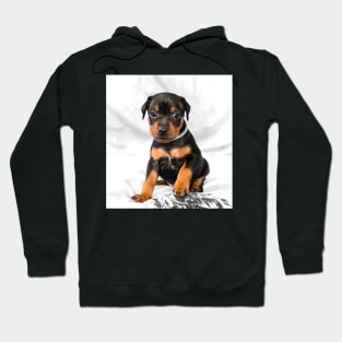 Black Miniature Pinscher Puppy Hoodie